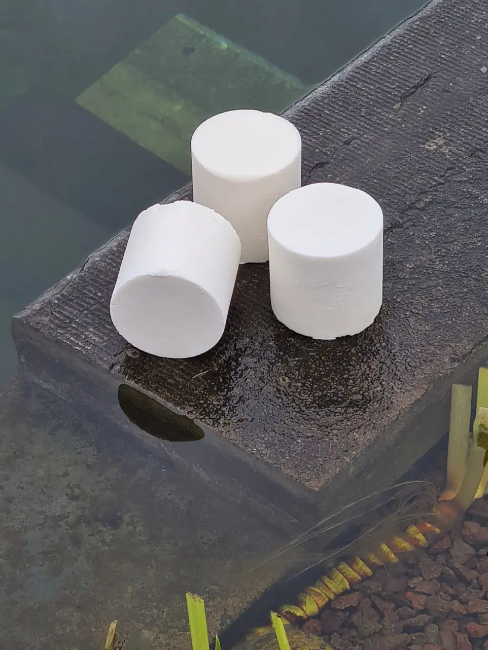 vijverproducten voor helder water