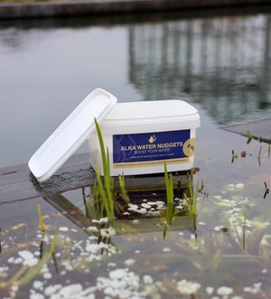 Alka water Nuggets