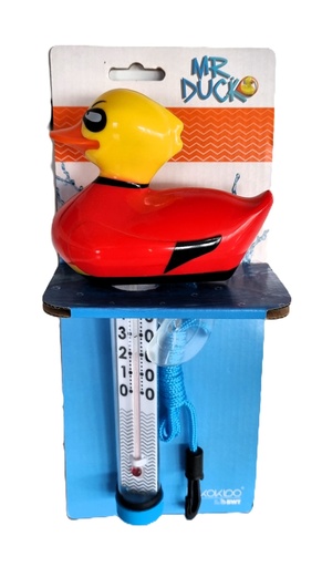 Thermometer, eend